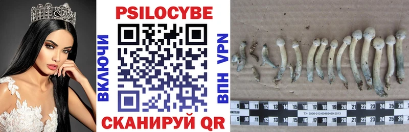 как найти закладки  Покровск  Псилоцибиновые грибы прущие грибы 